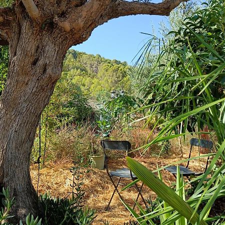 דירות אלורה Casa Oasis מראה חיצוני תמונה