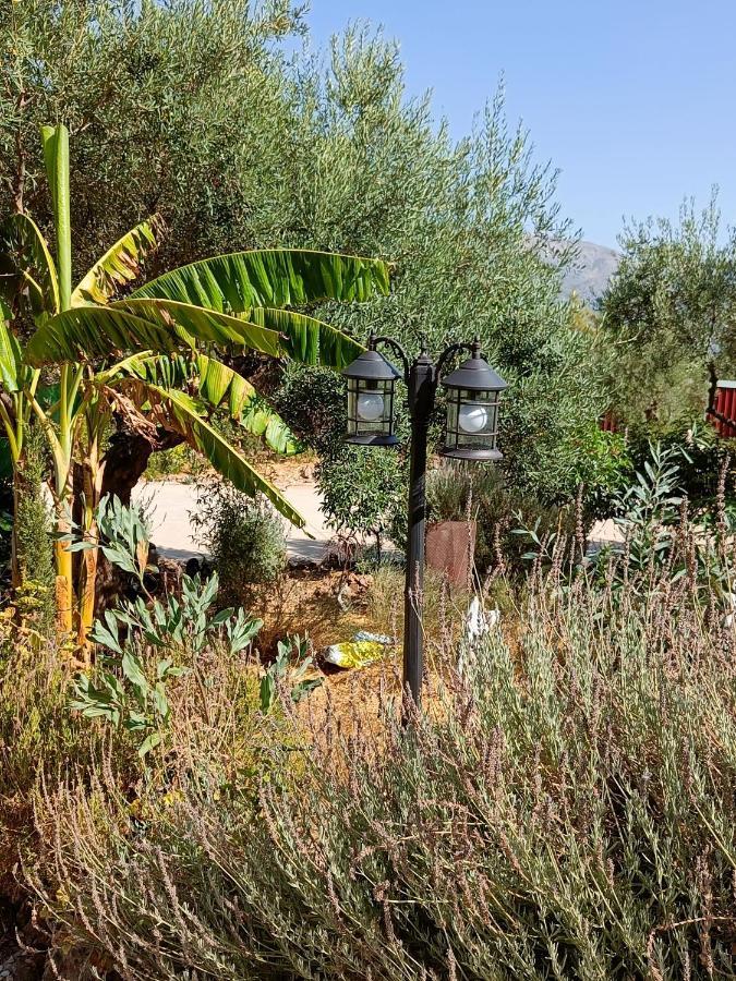 דירות אלורה Casa Oasis מראה חיצוני תמונה