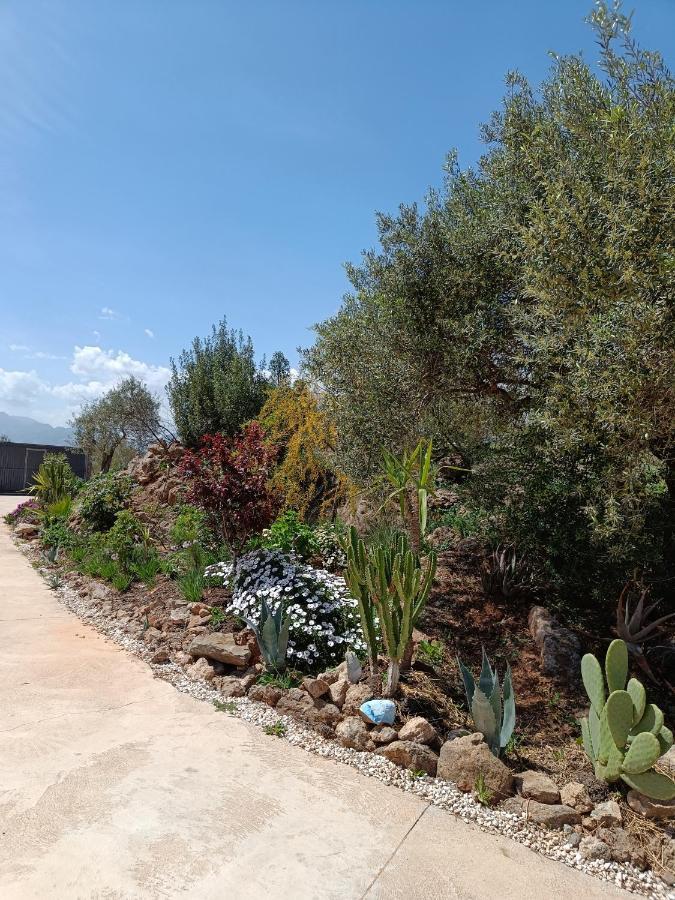 דירות אלורה Casa Oasis מראה חיצוני תמונה