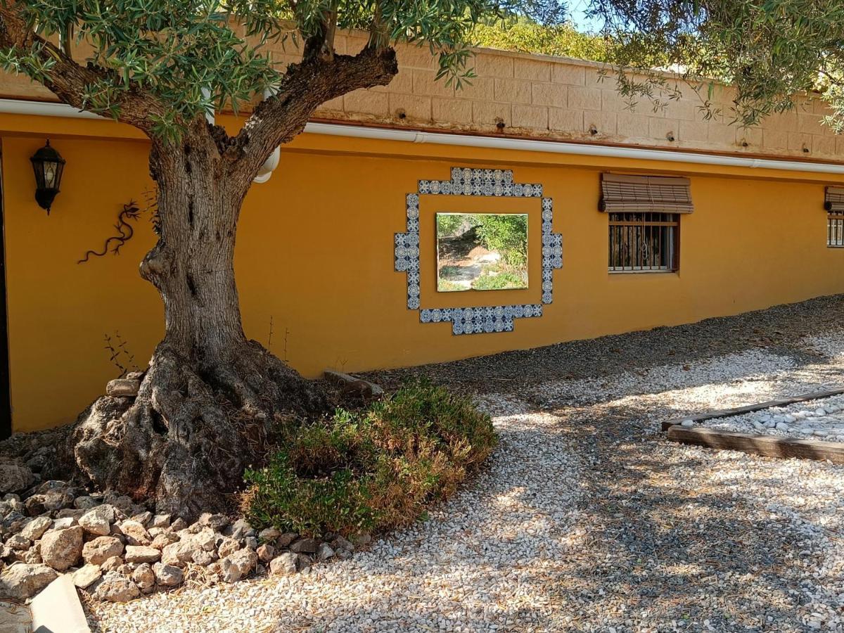 דירות אלורה Casa Oasis מראה חיצוני תמונה