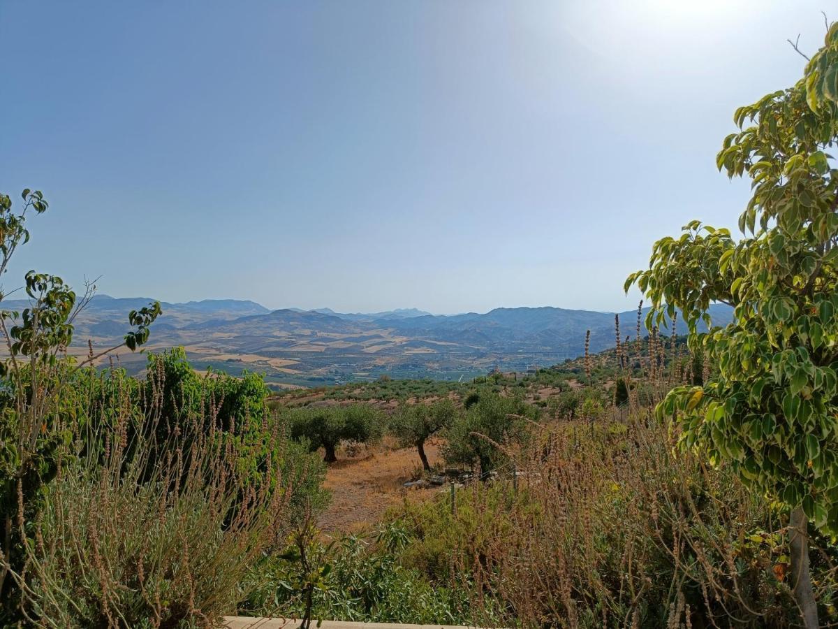 דירות אלורה Casa Oasis מראה חיצוני תמונה