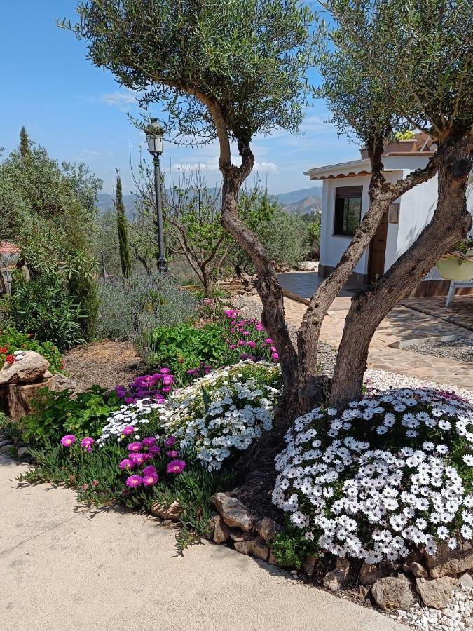 דירות אלורה Casa Oasis מראה חיצוני תמונה