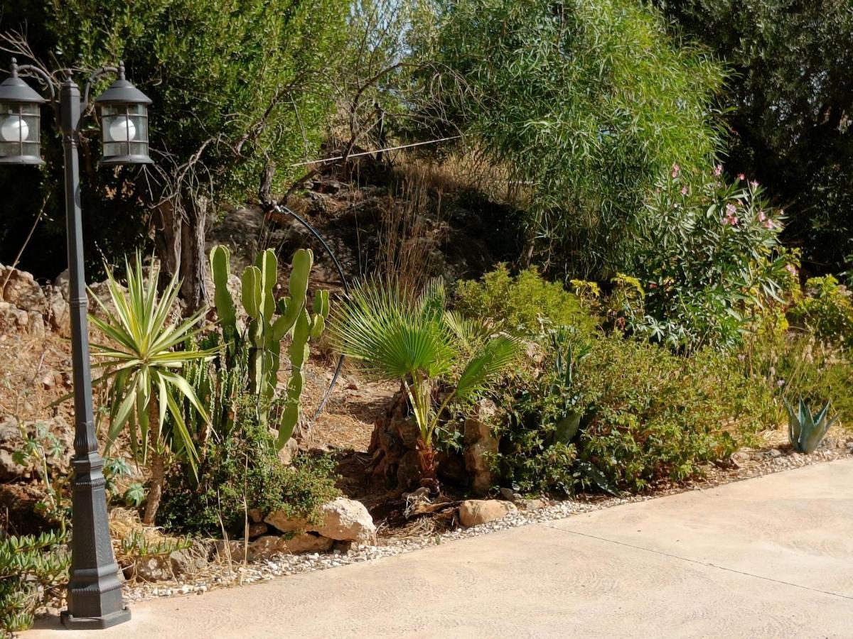 דירות אלורה Casa Oasis מראה חיצוני תמונה