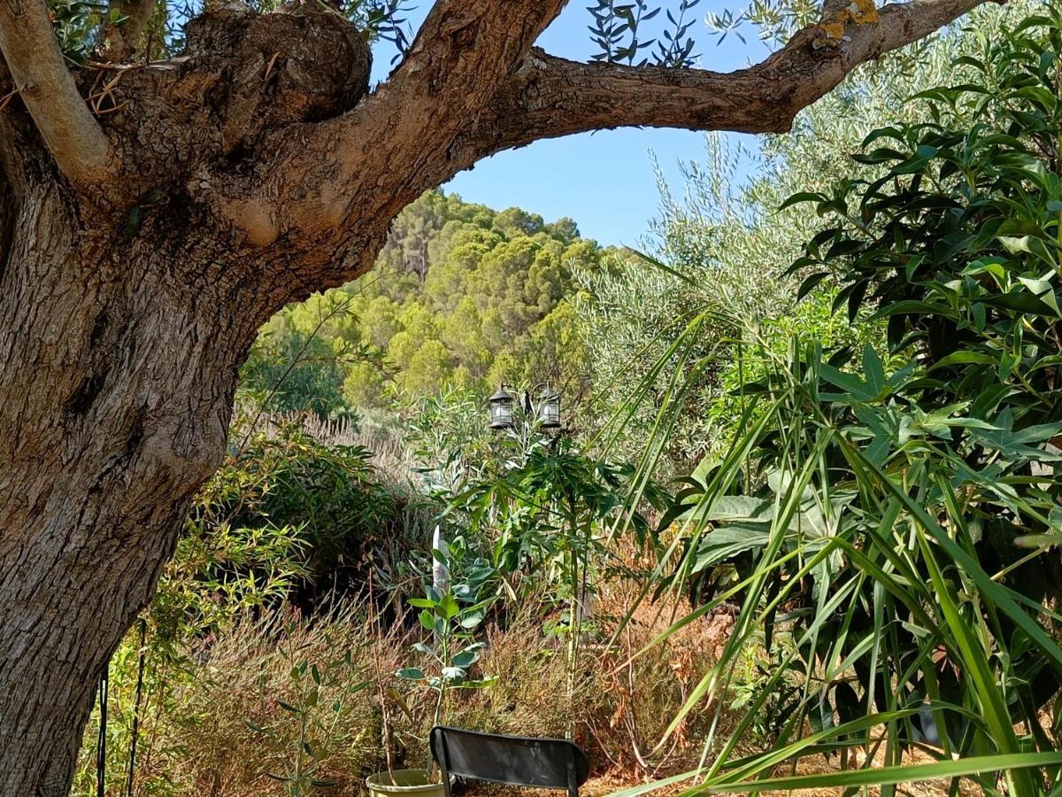 דירות אלורה Casa Oasis מראה חיצוני תמונה